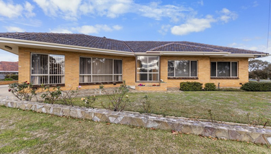 Picture of 1 MCARTHUR STREET, MILLICENT SA 5280