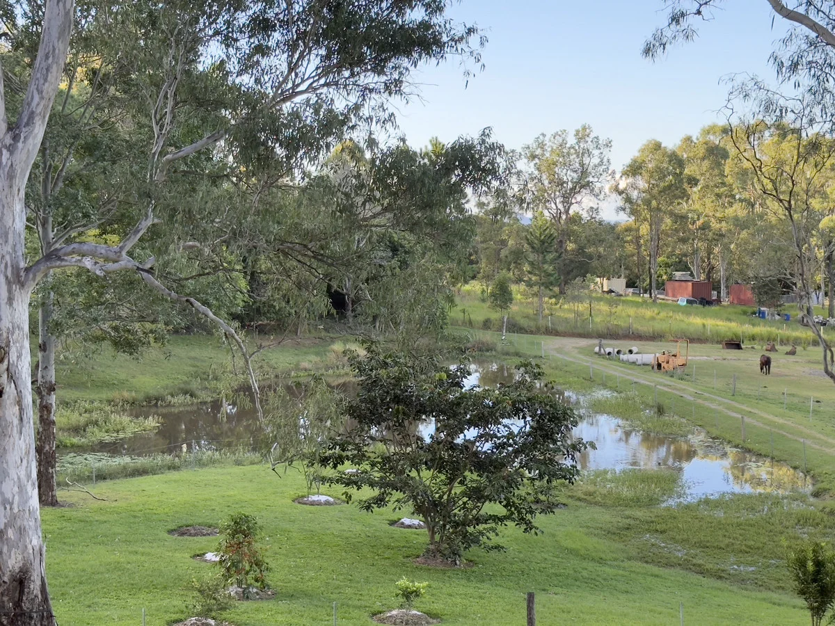 Additional image 7 of 153 F Lindsay Road, Rocksberg QLD 4510
