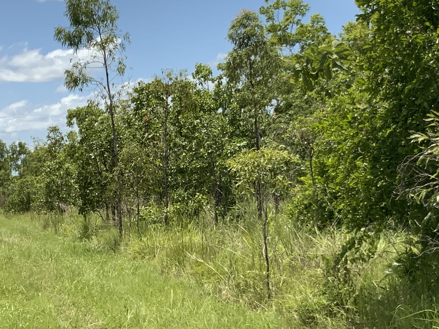 226 Northstar Road, Acacia Hills NT 0822, Image 2