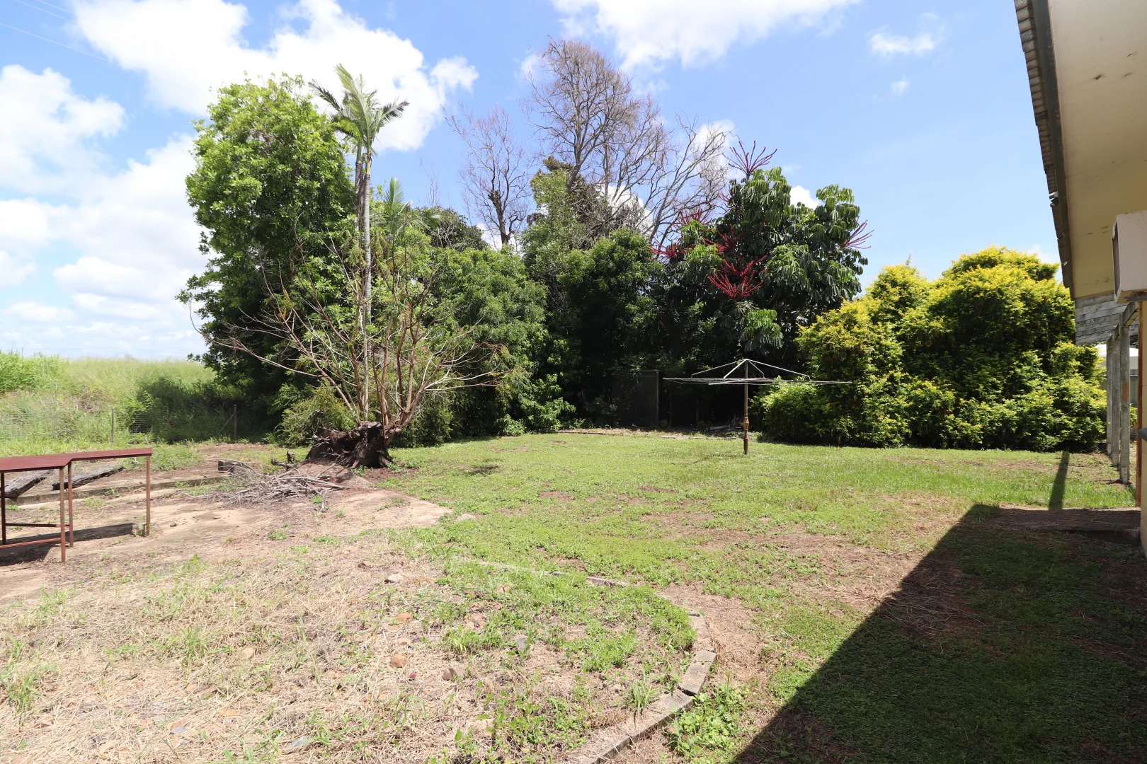 Image 15