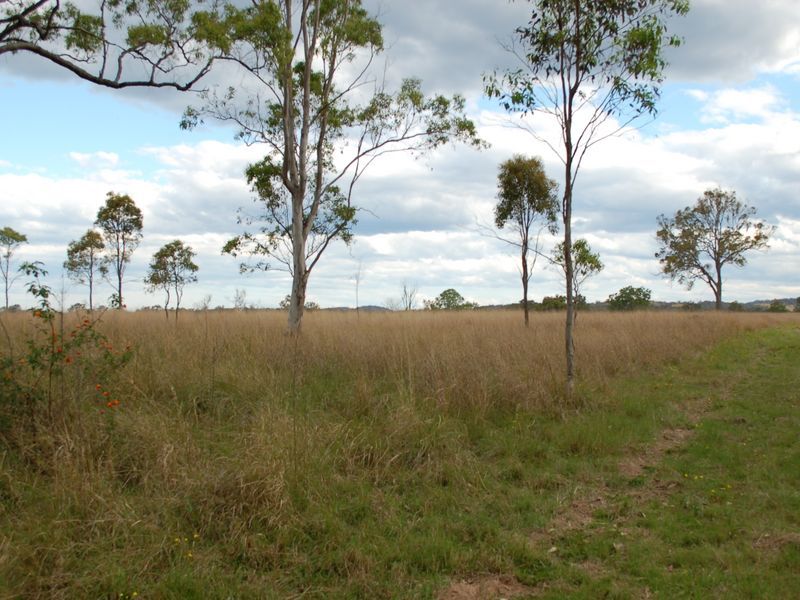 Lot 170 Kangaroo Creek Road, COUTTS CROSSING NSW 2460, Image 0