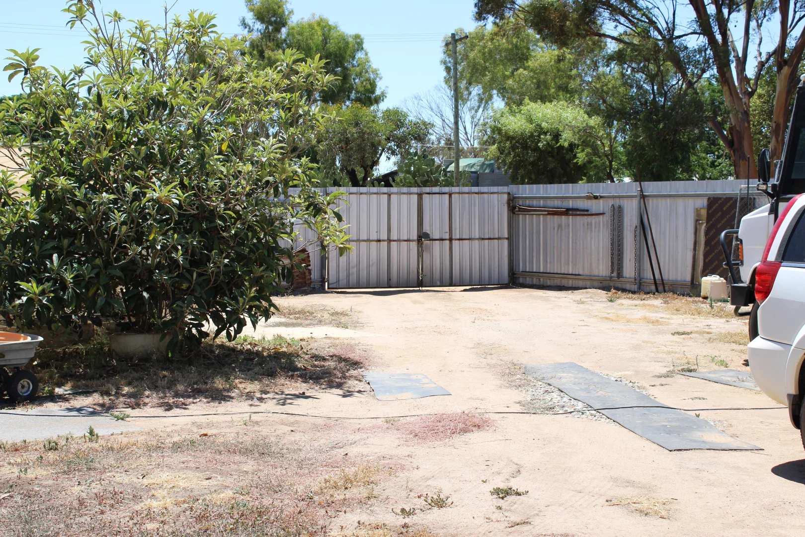 Image 15