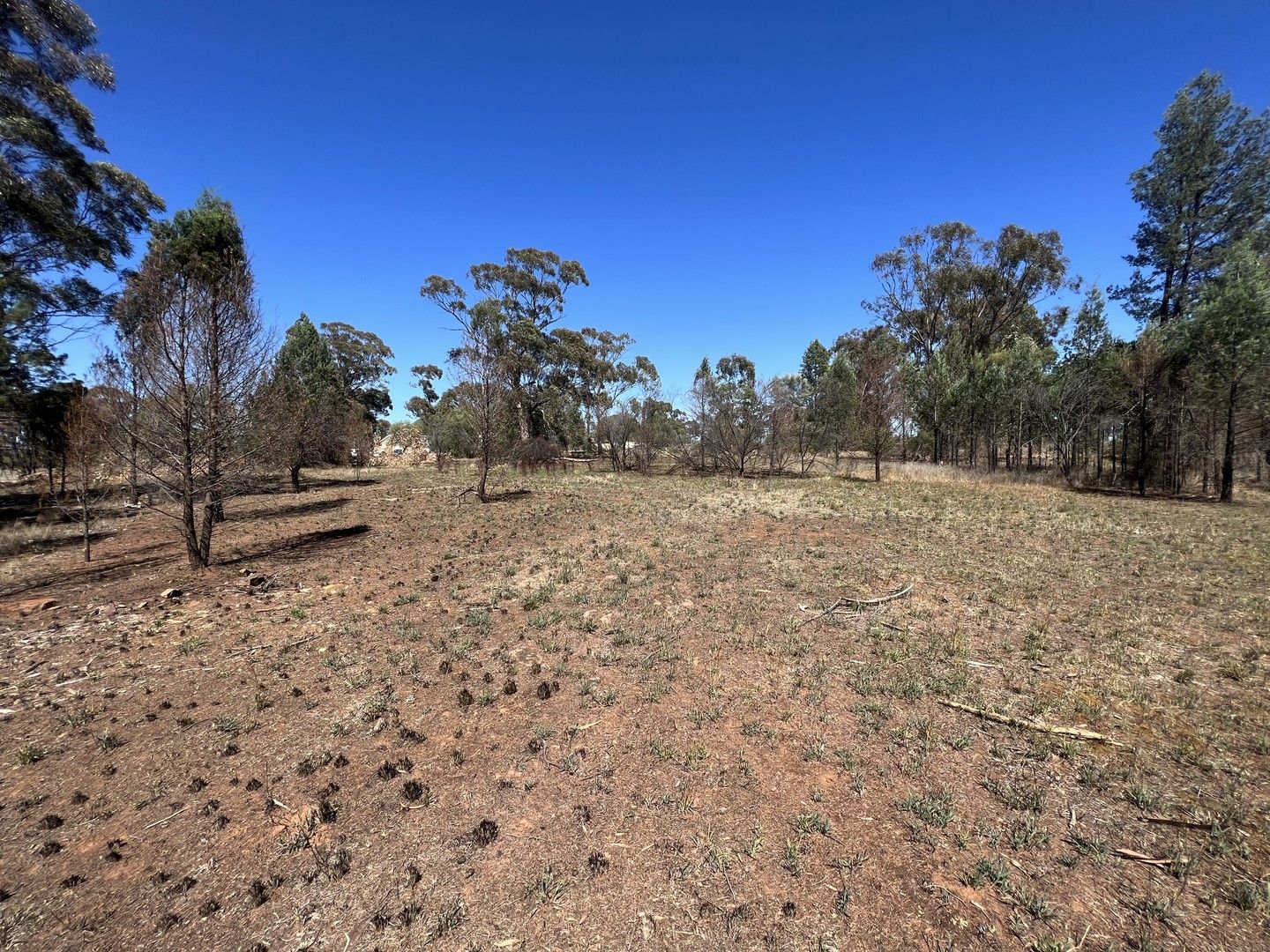 Lot 14 Jackson Street, Bogan Gate NSW 2876, Image 0