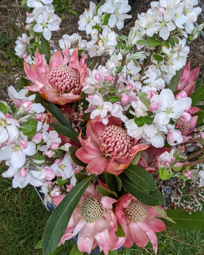 Additional image 38 of 107 Mill Road, Batlow NSW 2730