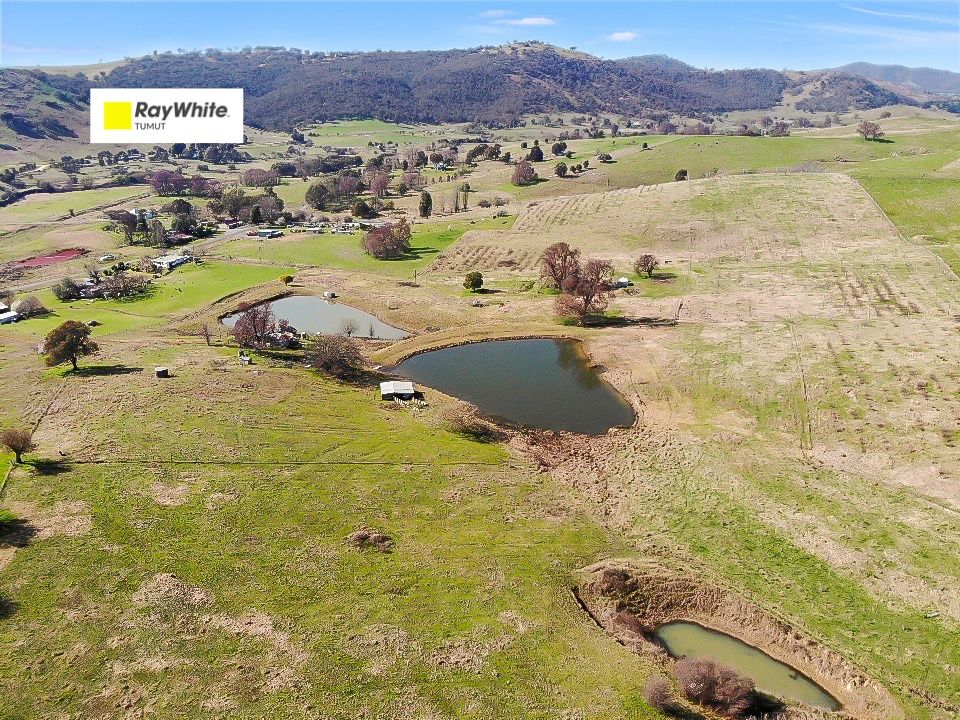 585 Grahamstown Road, Adelong NSW 2729, Image 0