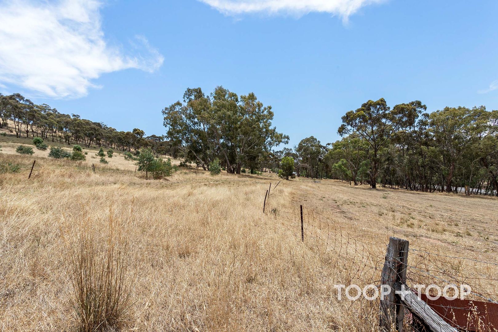 8573 Horrocks Highway, Clare SA 5453, Image 2