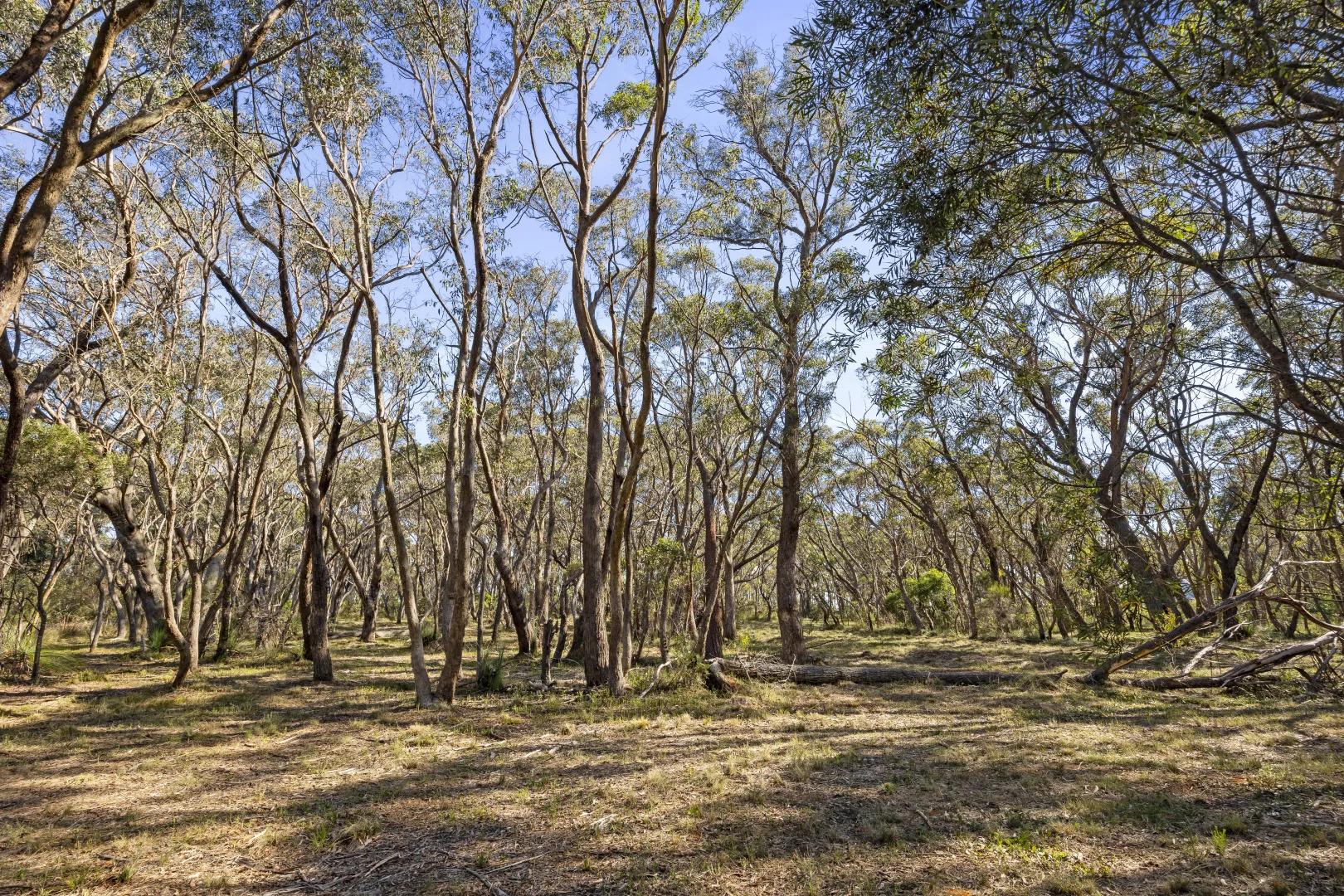 Image 10