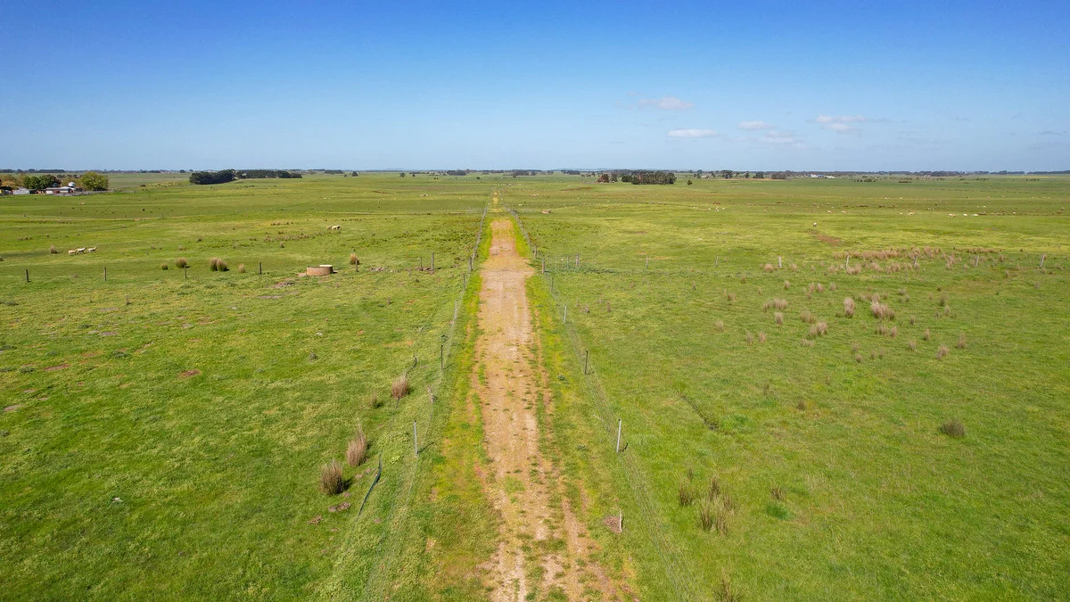 Additional image 41 of 170 Allans Road, Framlingham VIC 3265