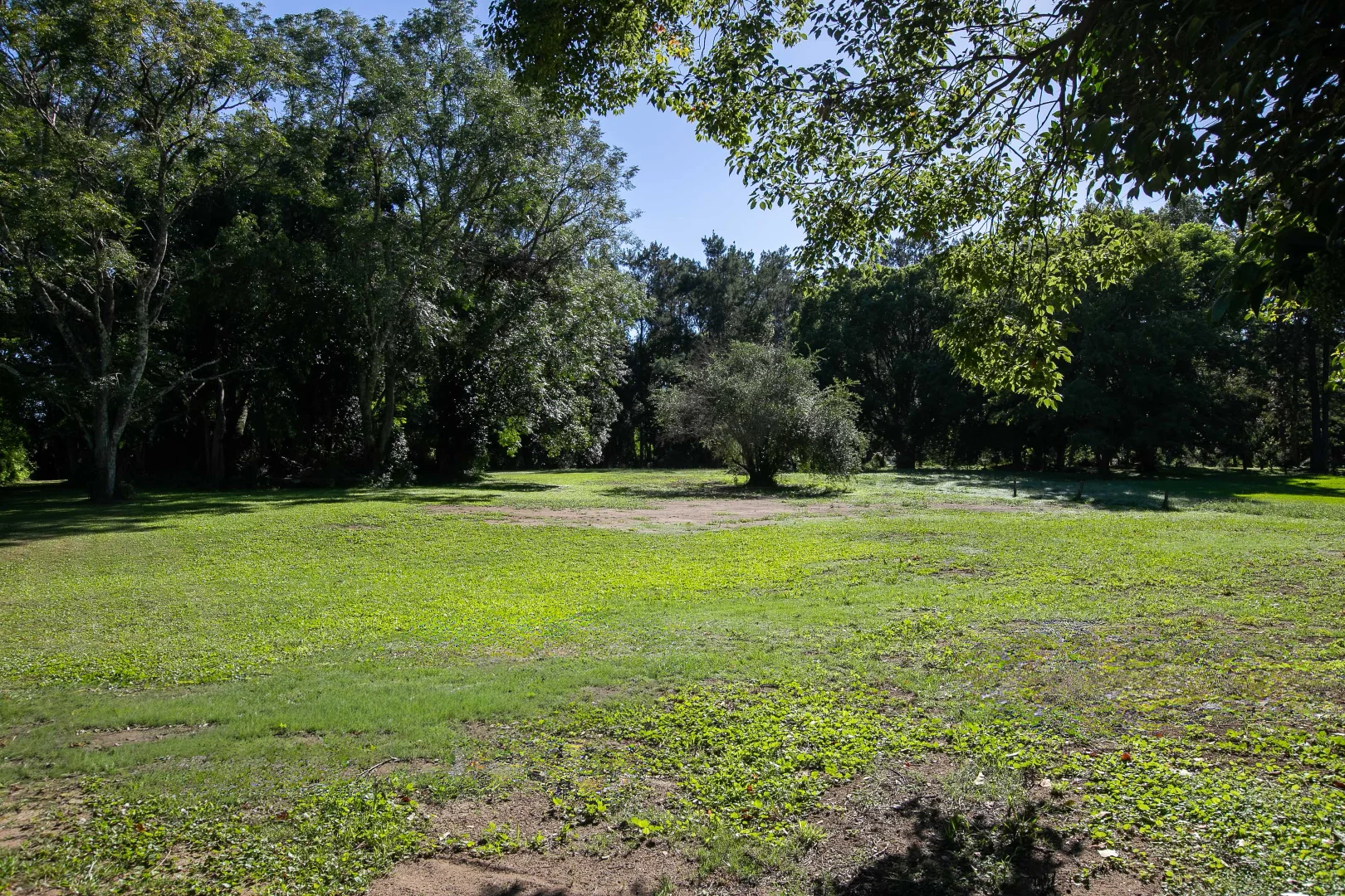 Additional image 15 of 1 Barrington Street, Gloucester NSW 2422