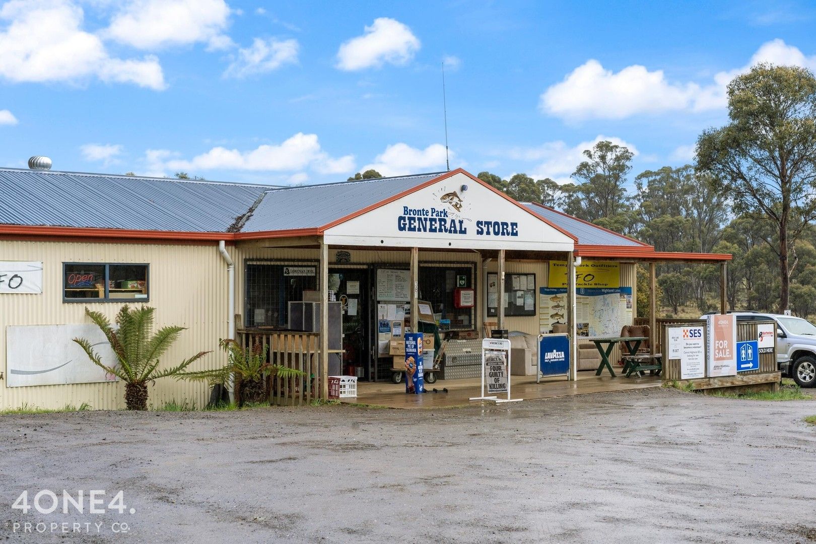 381 Marlborough Road, Bronte Park TAS 7140 Domain