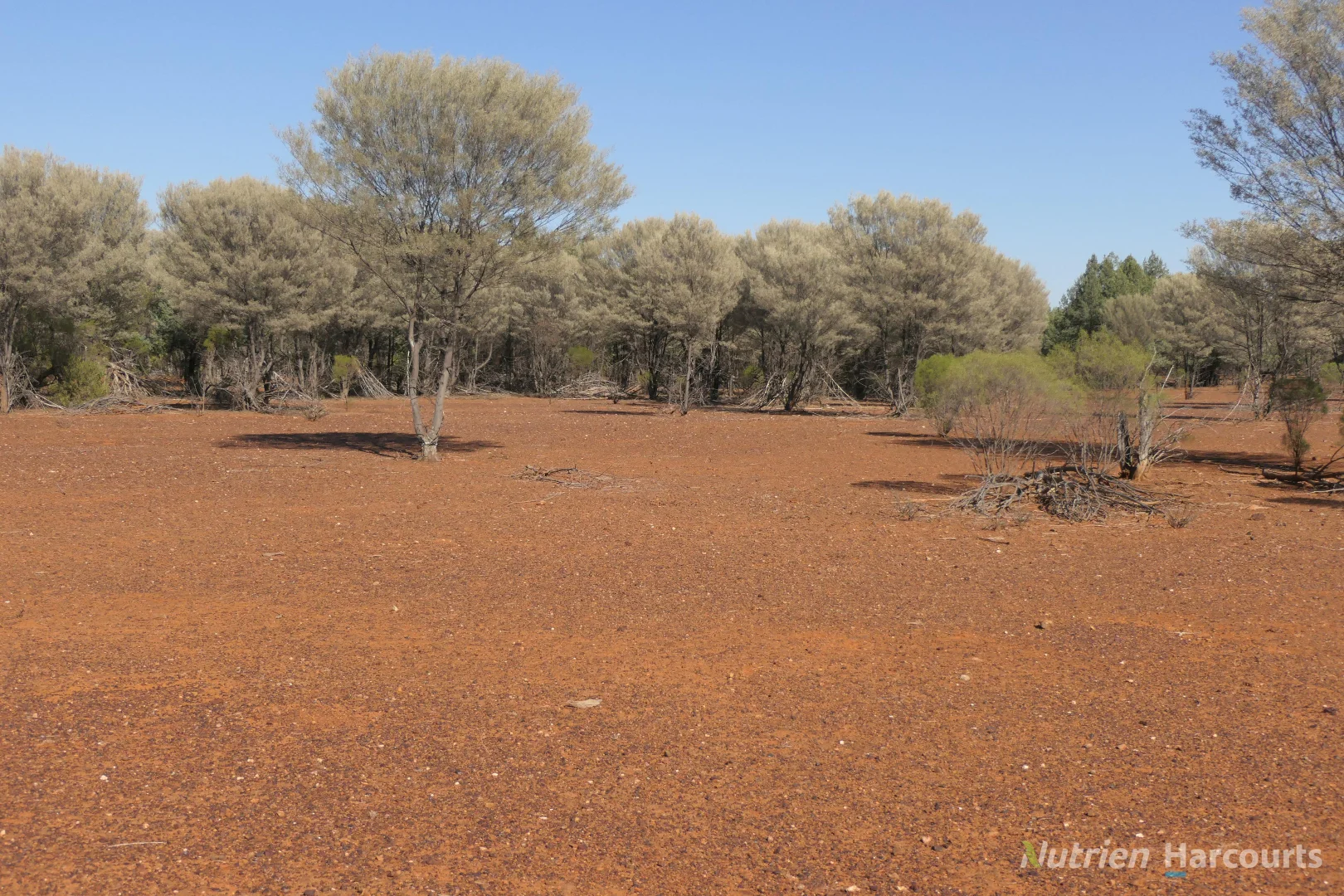 Additional image 16 of 27 Singleton Drive, Cobar NSW 2835