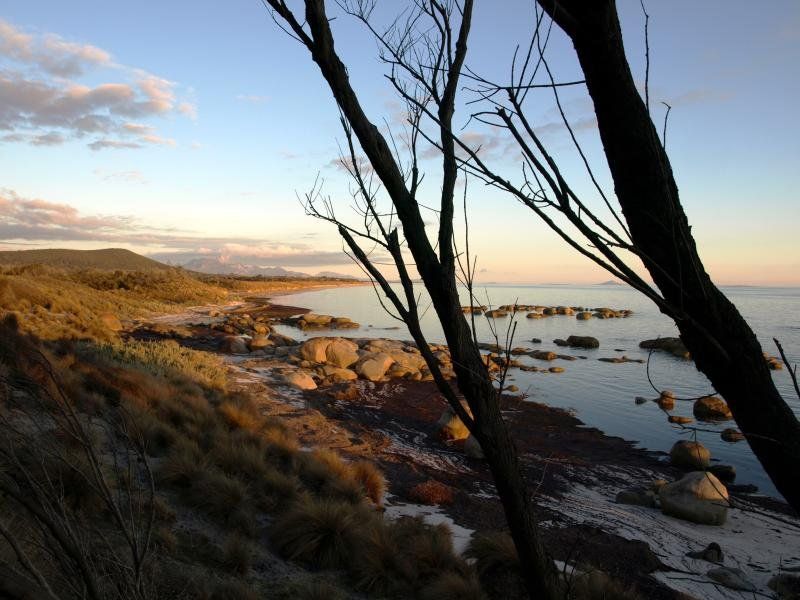 Lot 4 Palana Road, Blue Rocks TAS 7255, Image 1