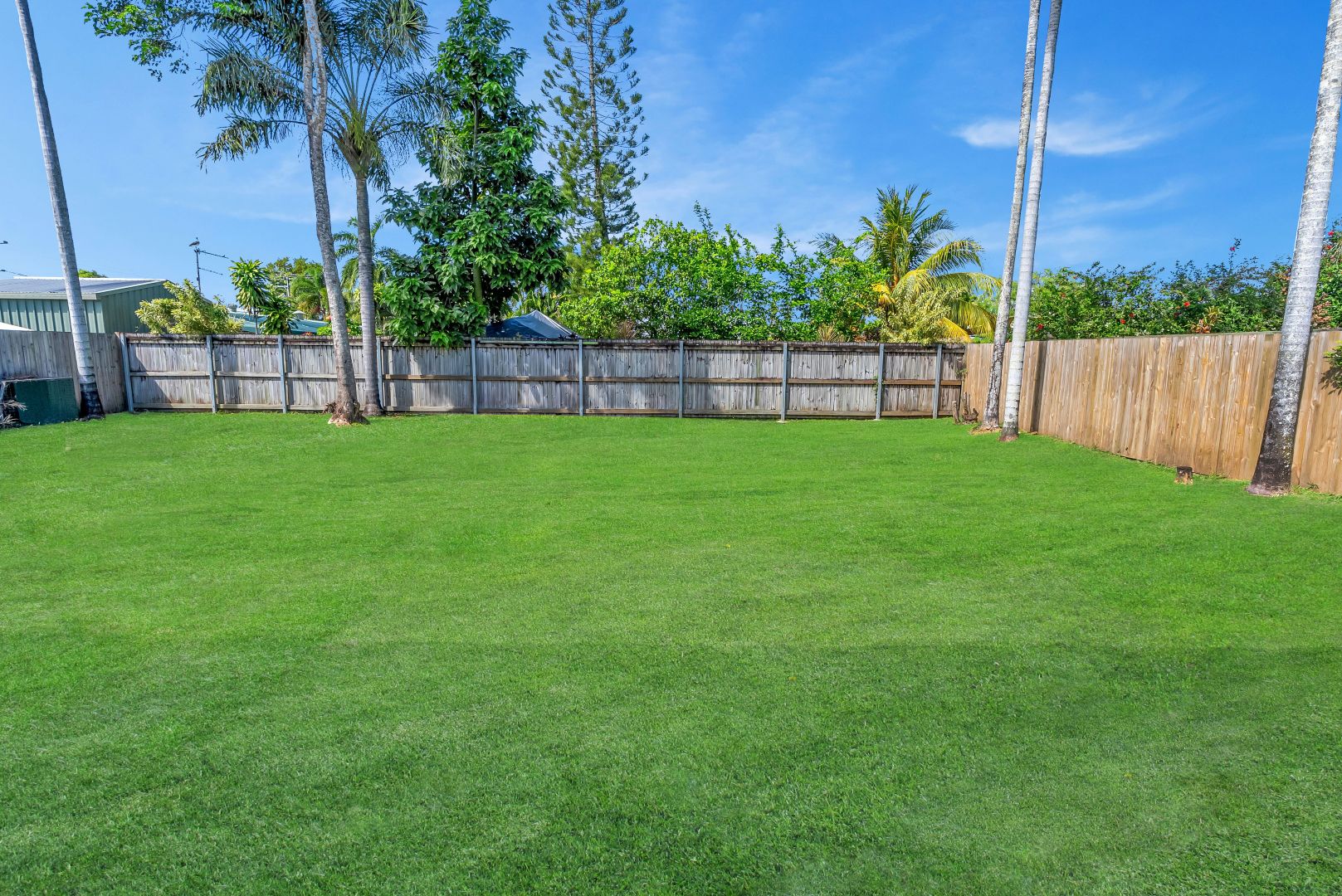 19 Napier Street, Trinity Park QLD 4879, Image 2