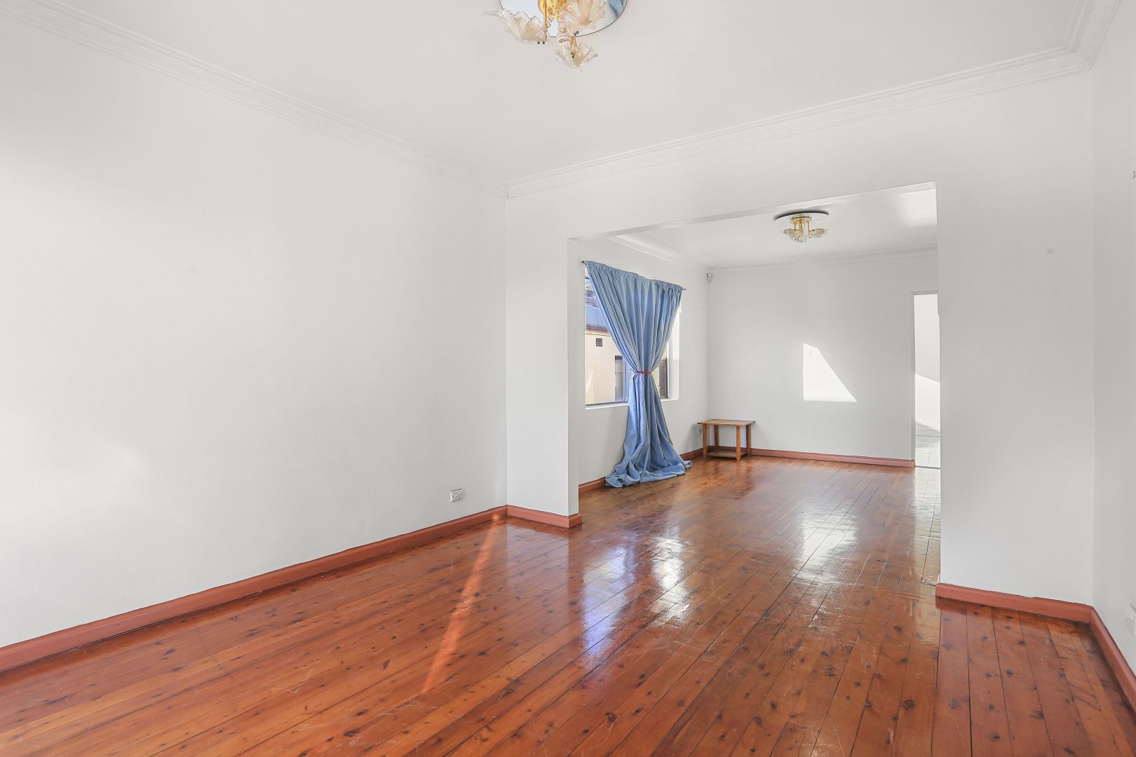 21 Edith Street, Leichhardt NSW 2040, Image 1