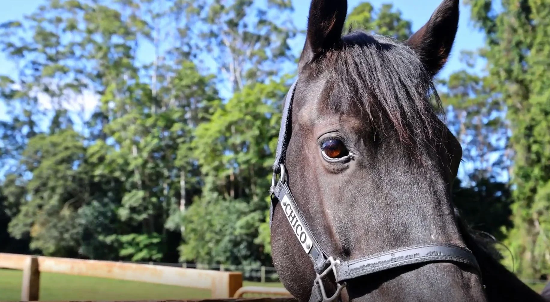 Additional image 10 of 23-25 Kootenai Drive, Tamborine Mountain QLD 4272