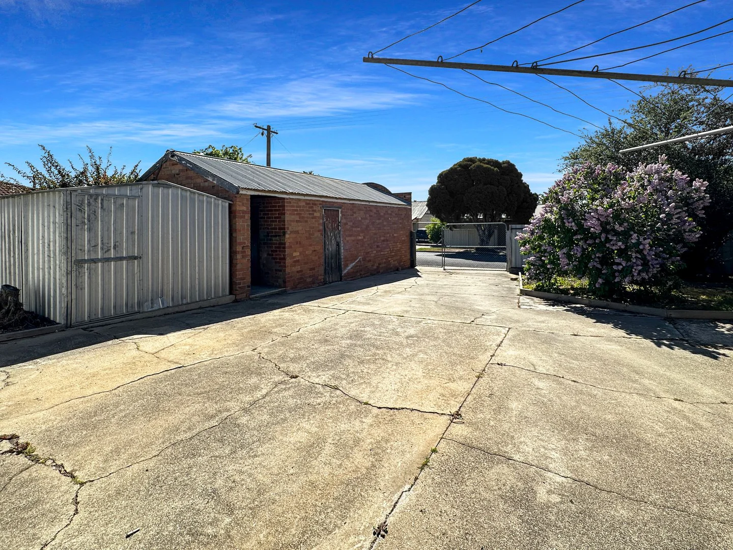 Image 12