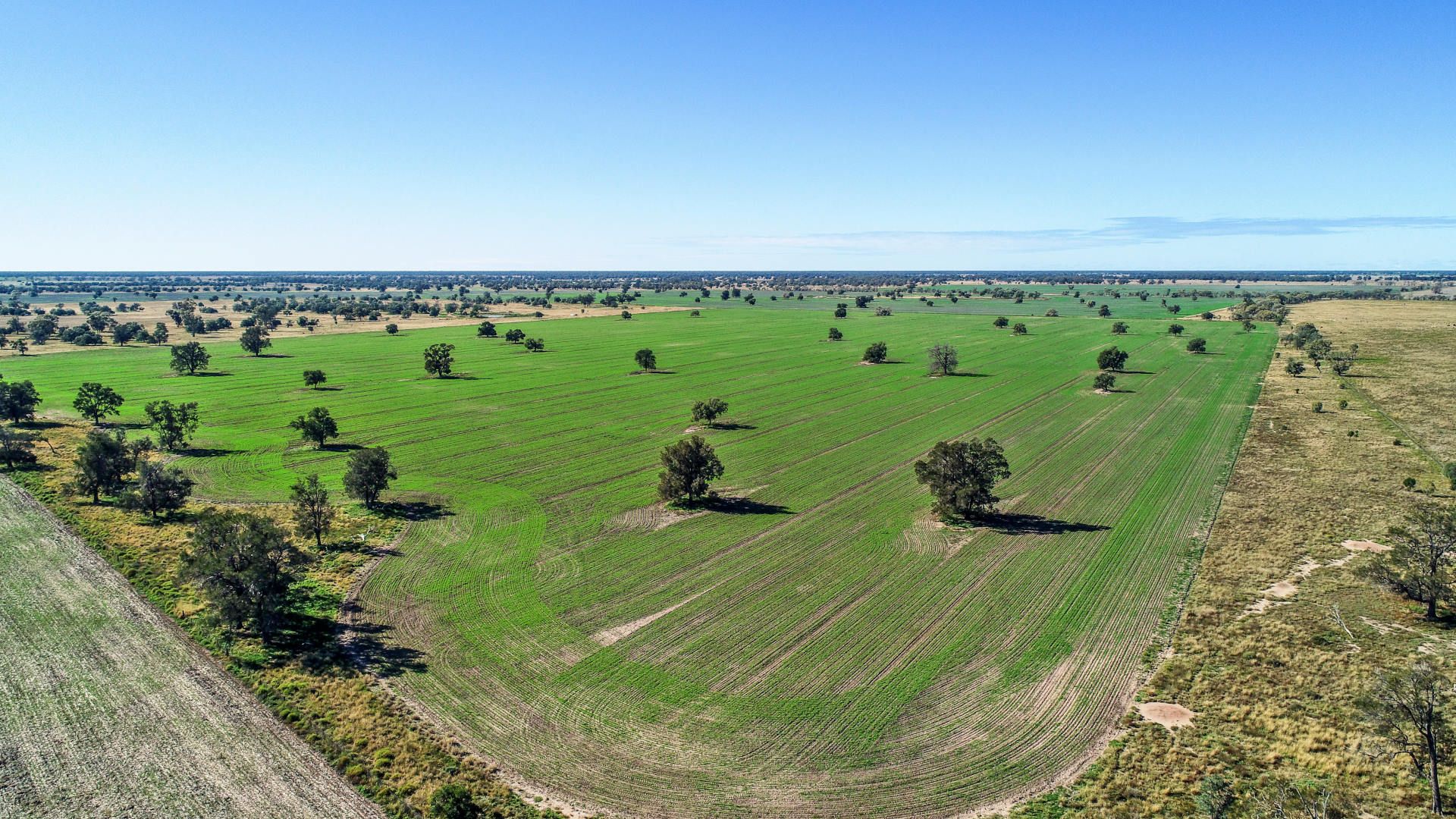 Sold in Coonamble NSW 2829 on 10 Sep 2021 2017138664 Domain