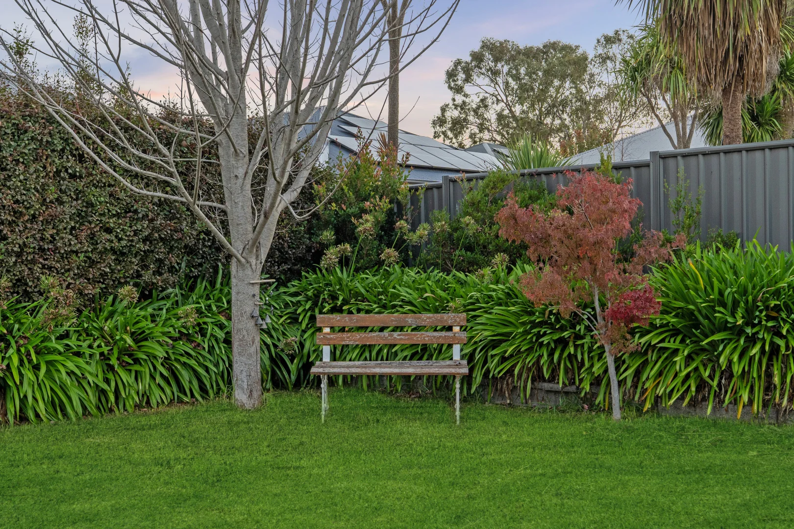 Image 22