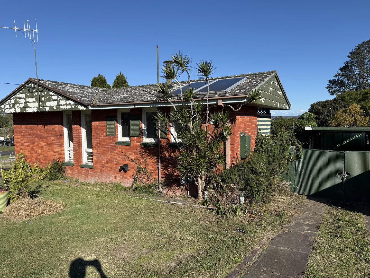 Image 14