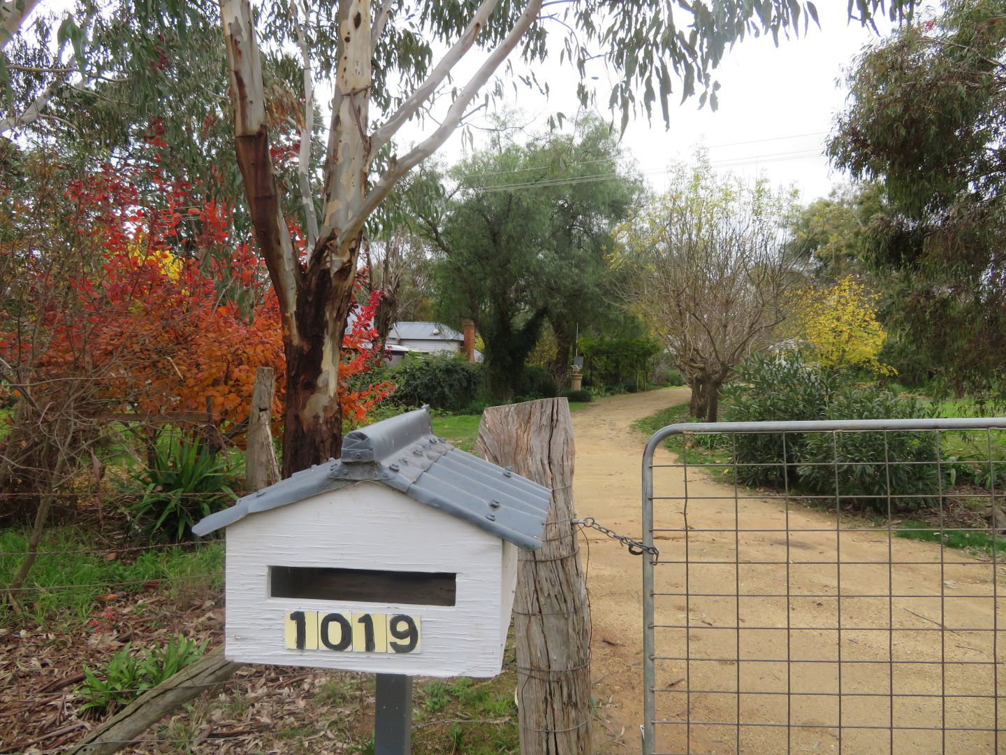 1019 Darbalara Road, Gundagai NSW 2722, Image 1