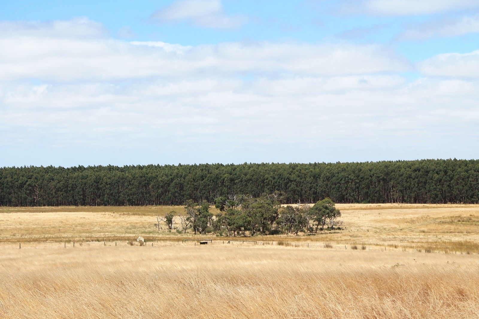 Kentbruck Settlement Road, Mount Richmond VIC 3305, Image 2