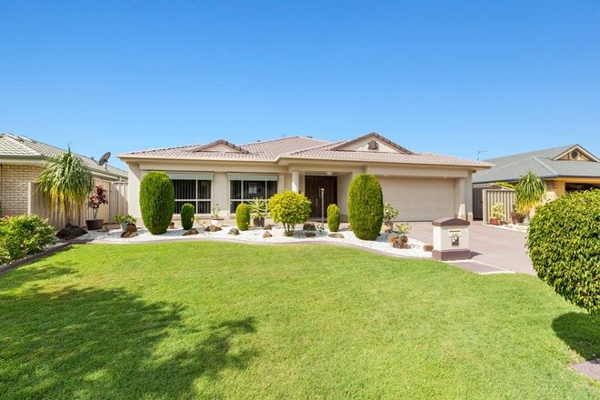 Banora Point High School Catchment Nsw 2486 Domain