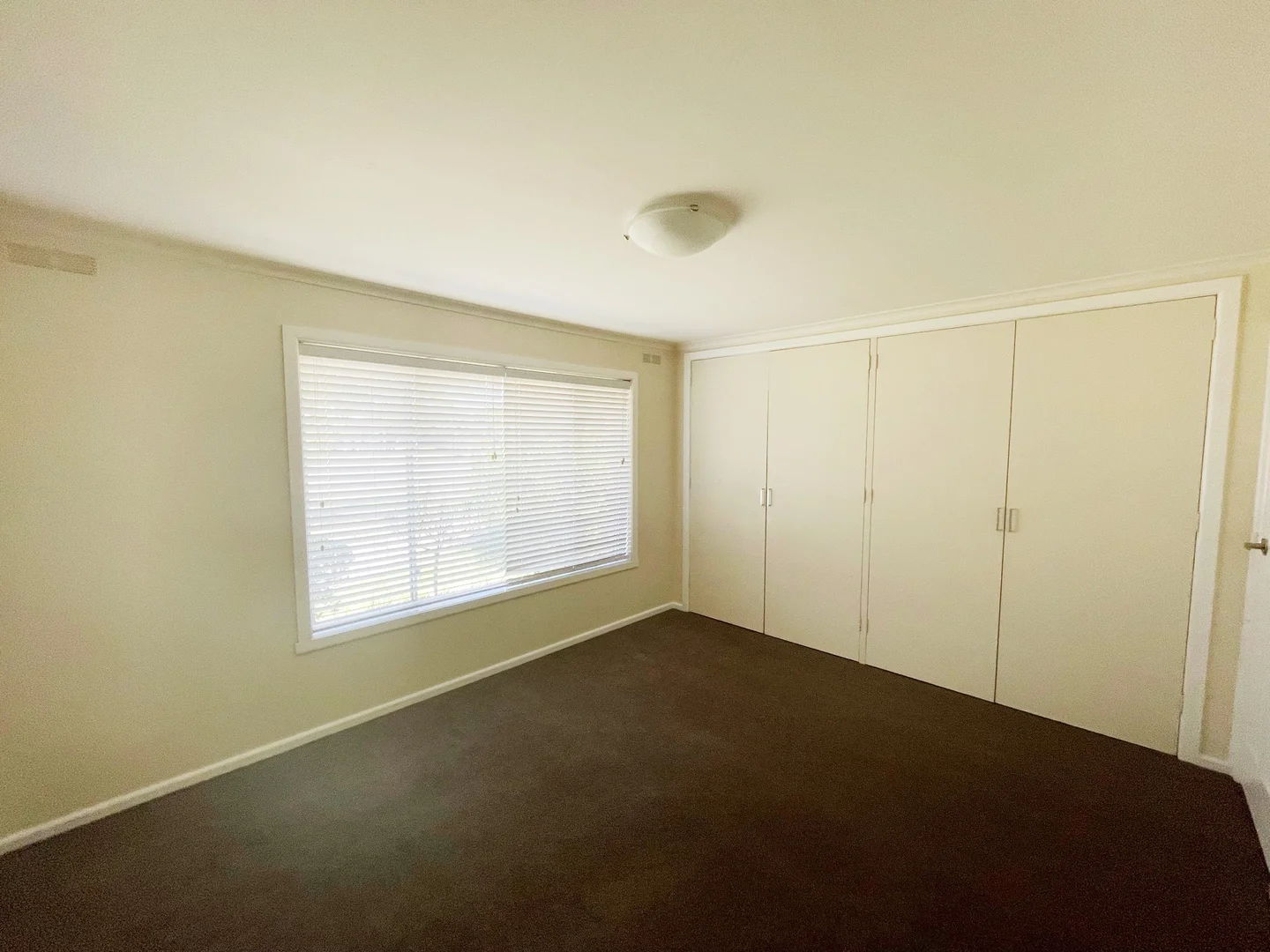 Additional image 8 of 15 Hart Street, Euroa VIC 3666