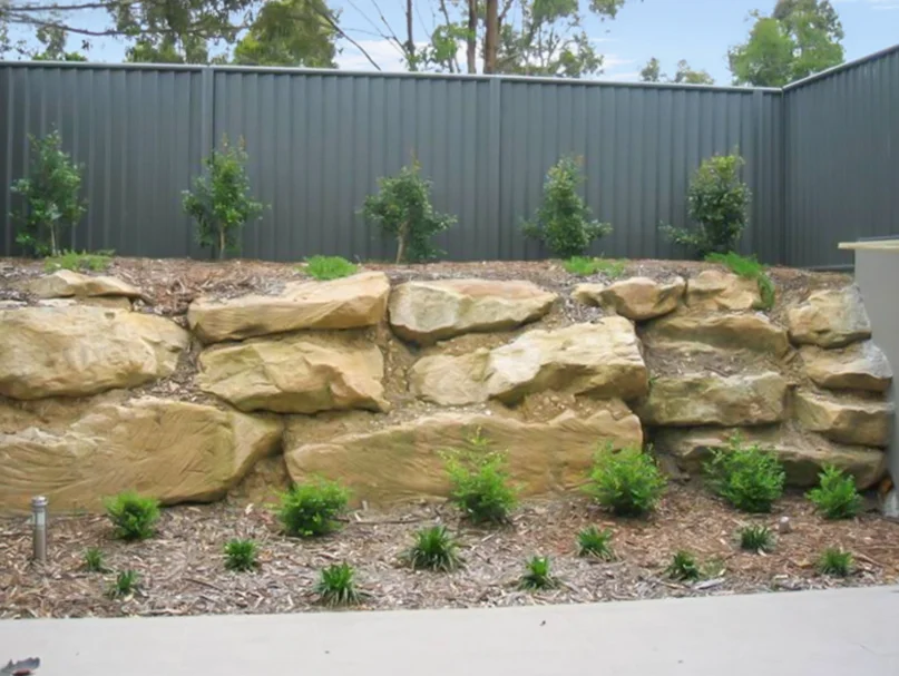 Image 5