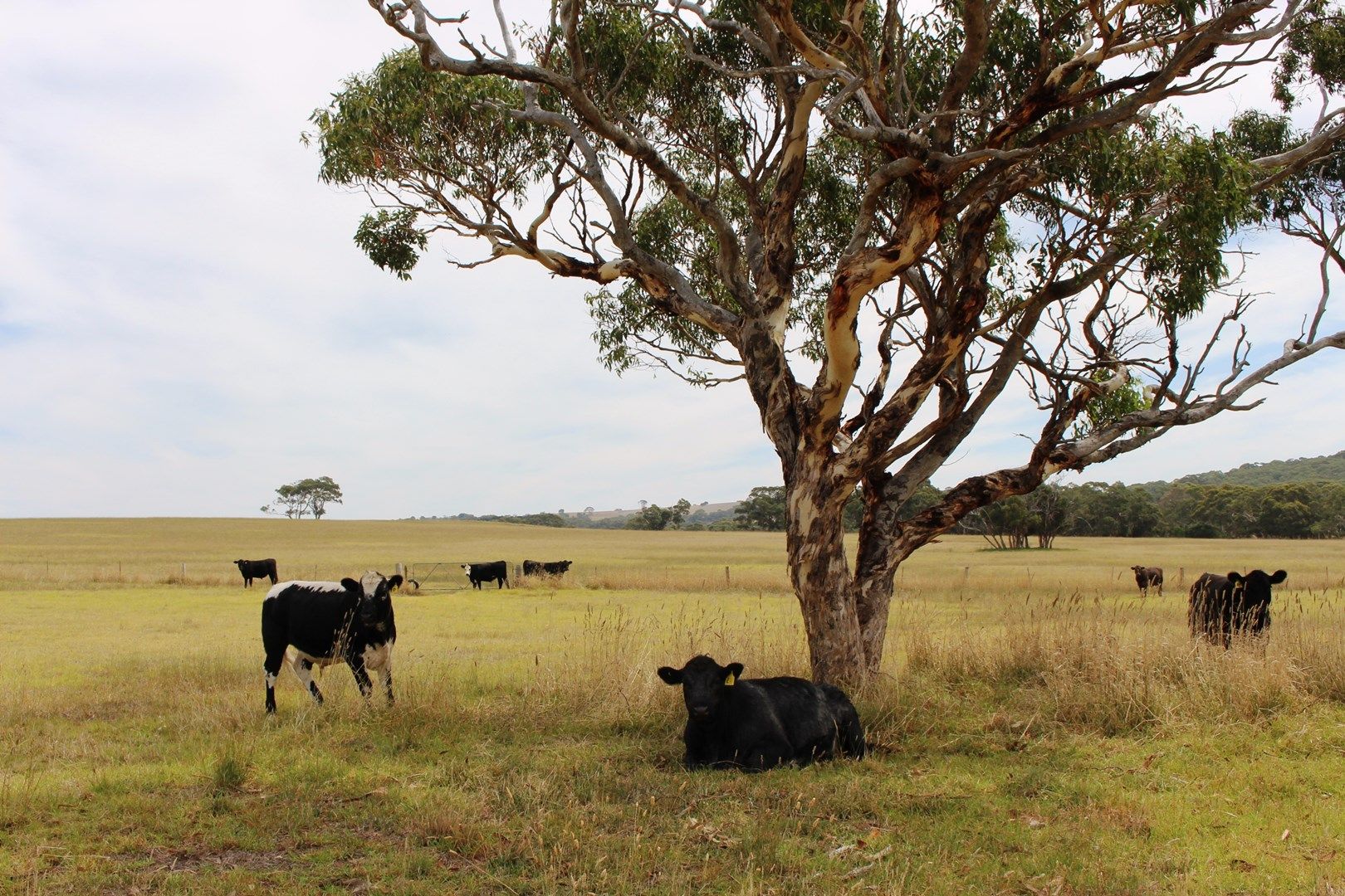 A103 Tugwell Road, Waitpinga SA 5211, Image 0