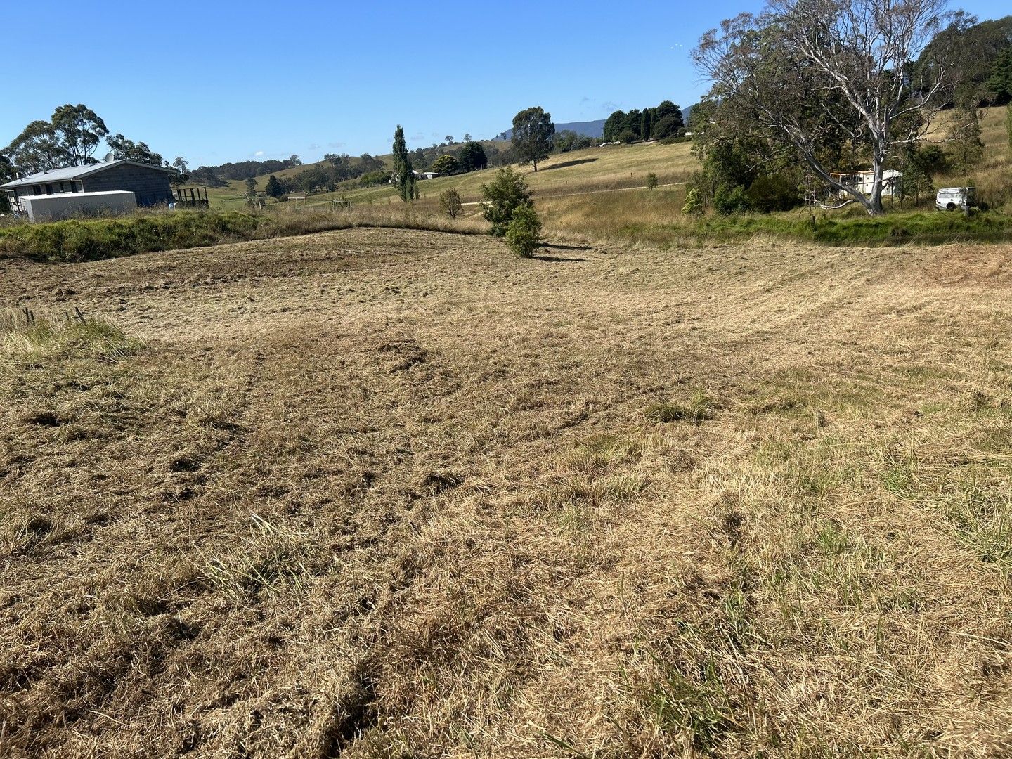 7173 Kameruka Street, Bemboka NSW 2550 Domain