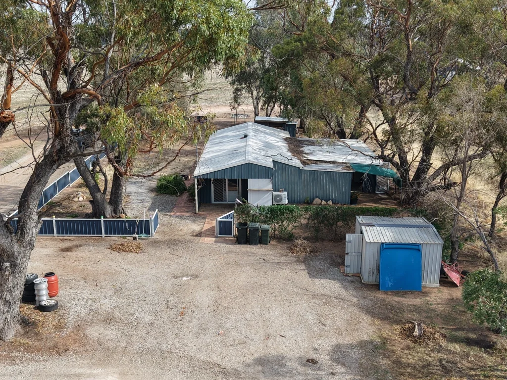 Image 20