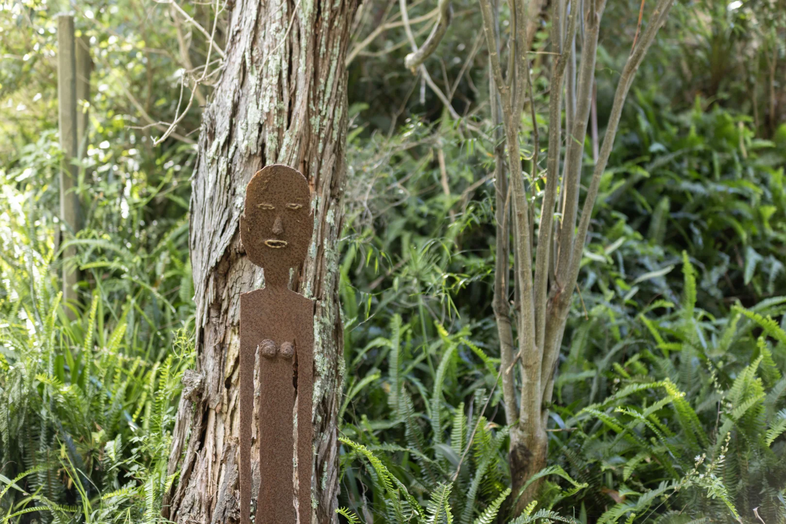 Additional image 19 of 184 Jamberoo Road, Jamberoo NSW 2533