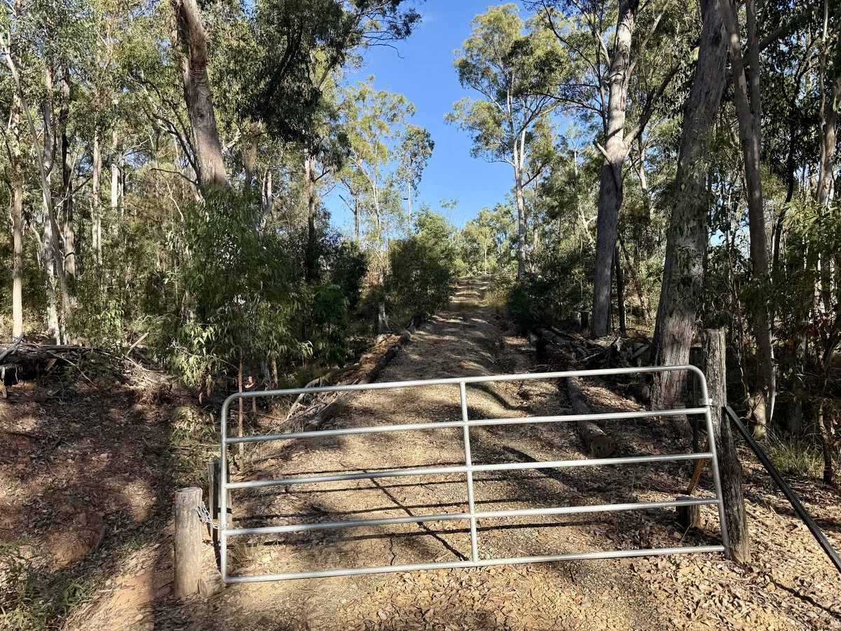 Image 18