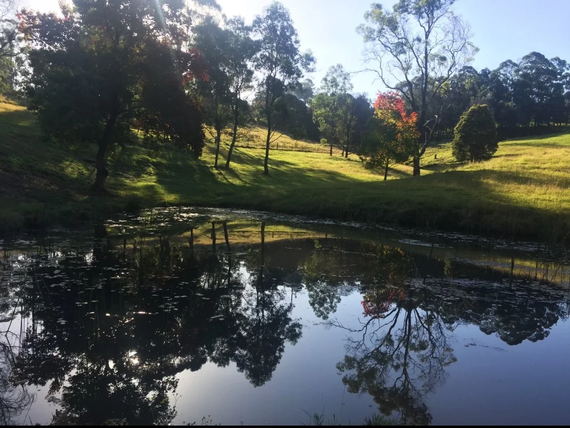 Image 10