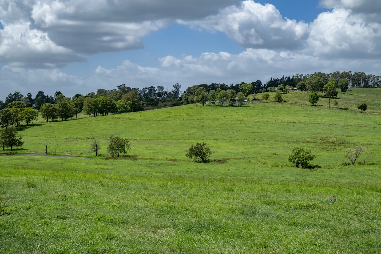 Additional image 24 of 75 Kajarabie Road, Lagoon Pocket QLD 4570