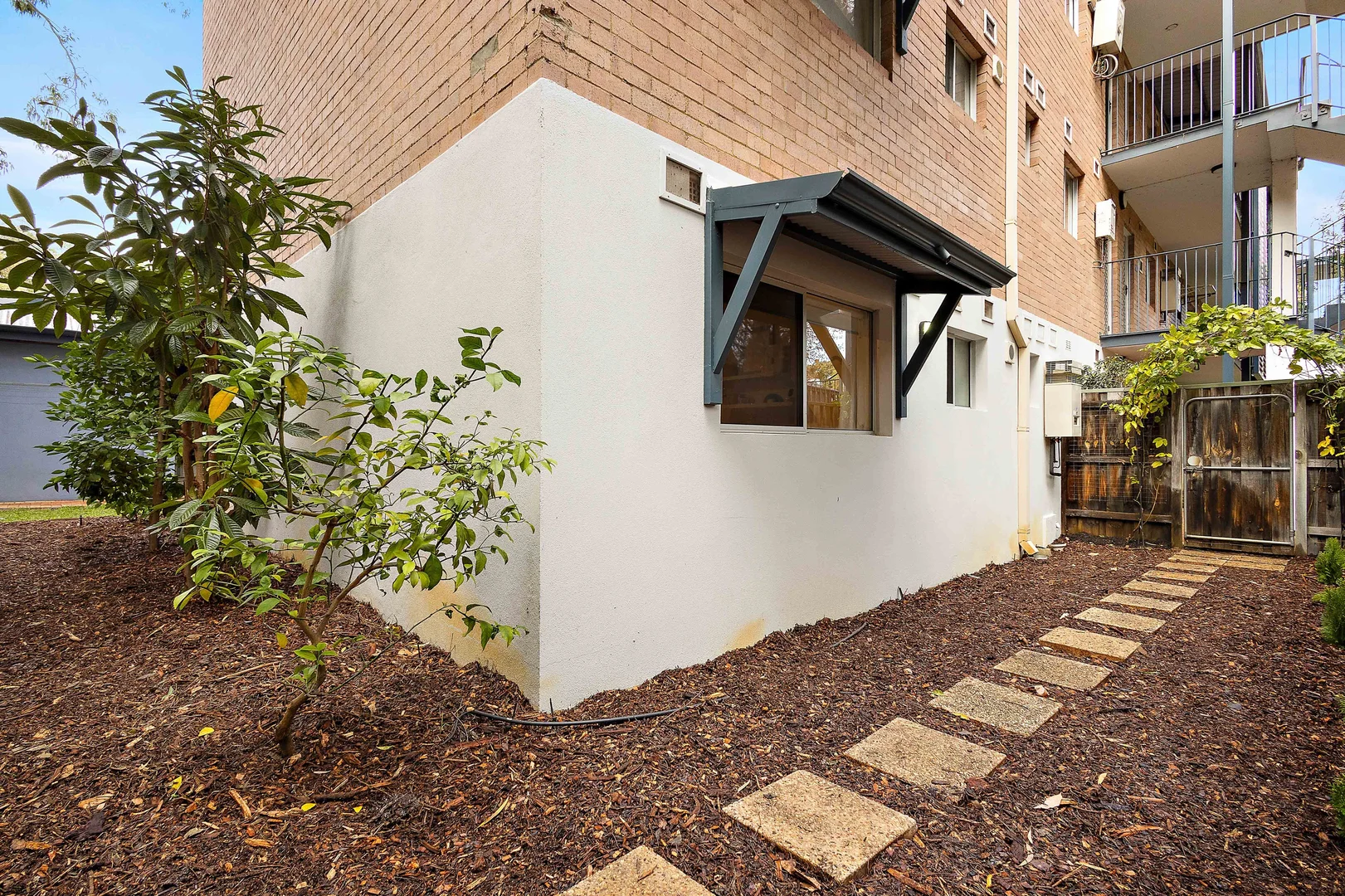 Image 20