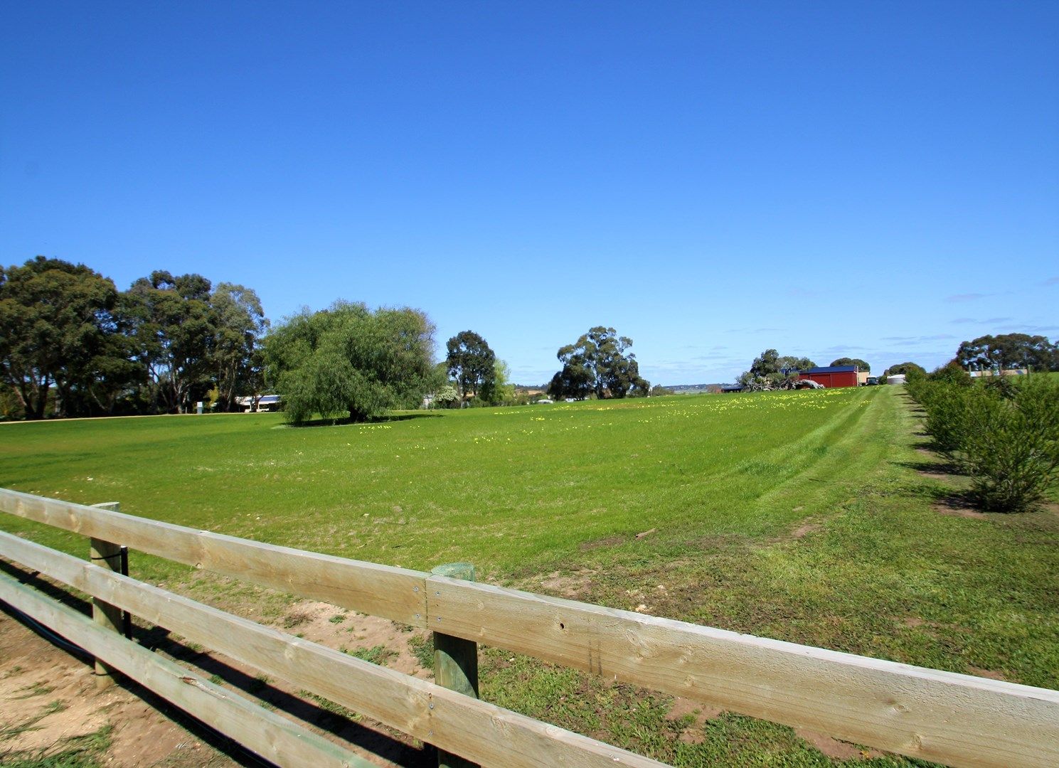 Allotment 2 Wilkins Road, Naracoorte SA 5271, Image 0