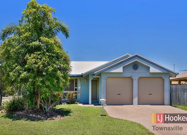 12 Fortunia Lane, Kirwan QLD 4817