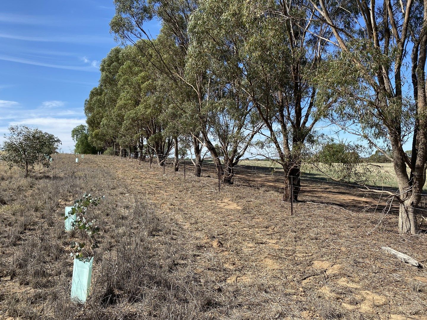 Lot 1 To 5 Battery Road, Rutherglen VIC 3685, Image 0