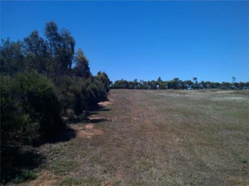 88 Murrawong Road, Burdett SA 5253, Image 1