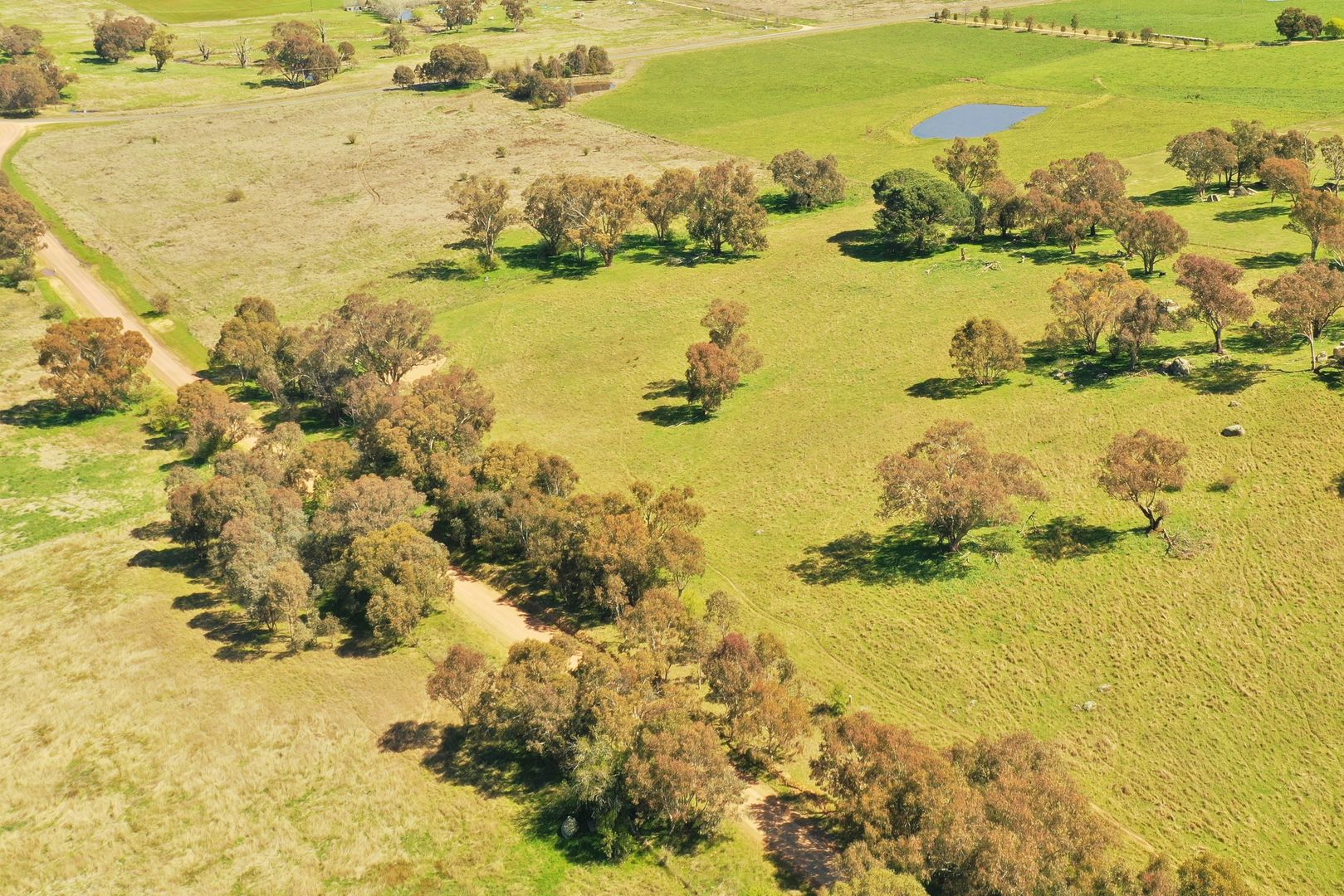 Lot 184 Good Friday Gully Road, Young NSW 2594, Image 2