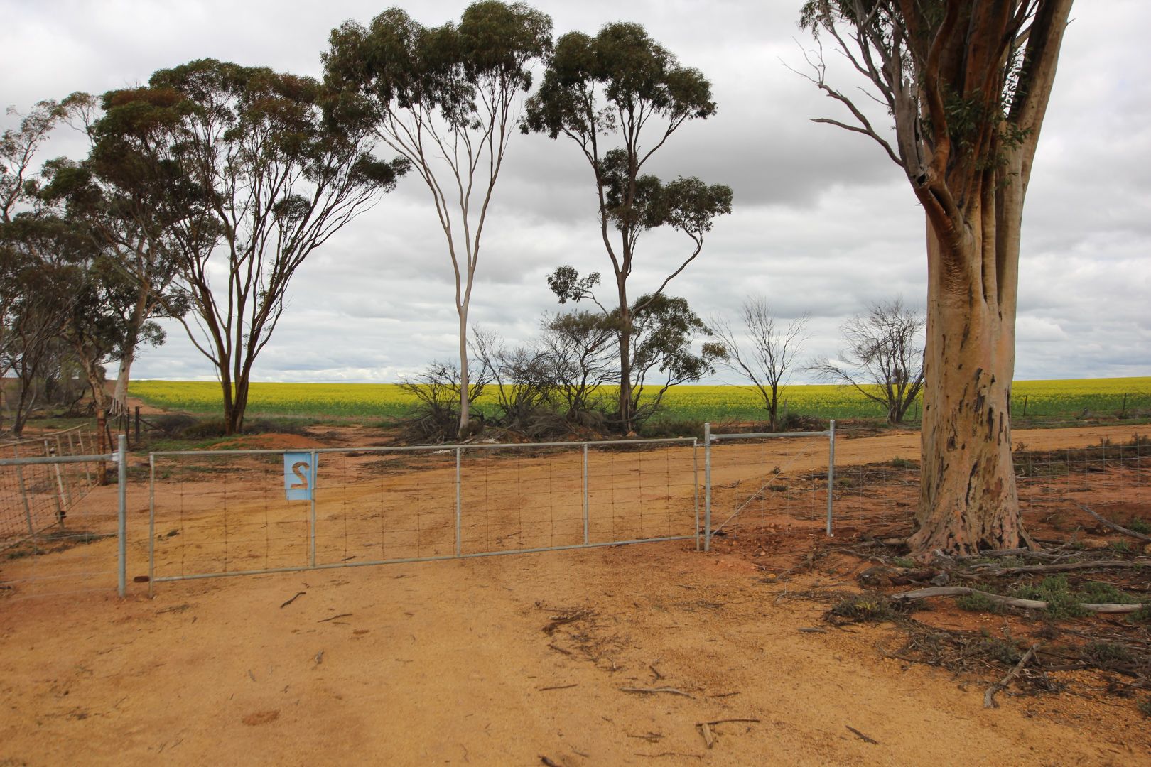 Lot 14047 Talgomine Reserve Road, Talgomine WA 6490, Image 2