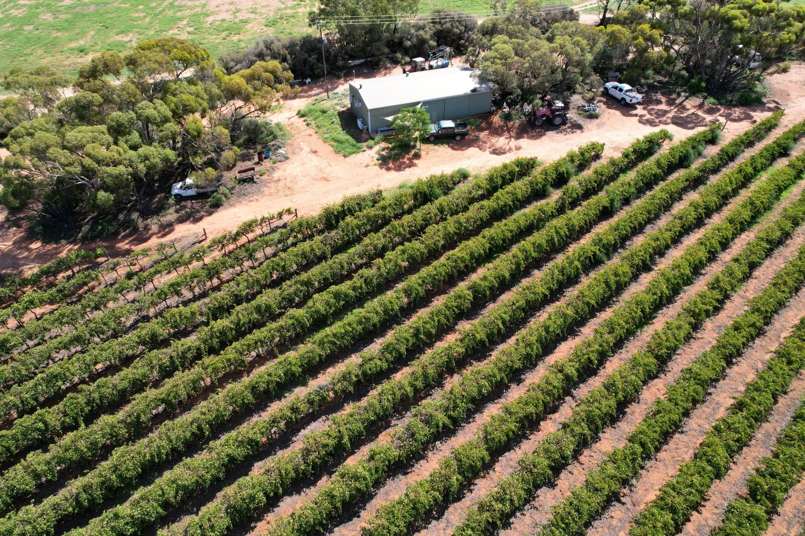 Additional image 4 of Lot 7 Pike Creek Road, Lyrup SA 5343