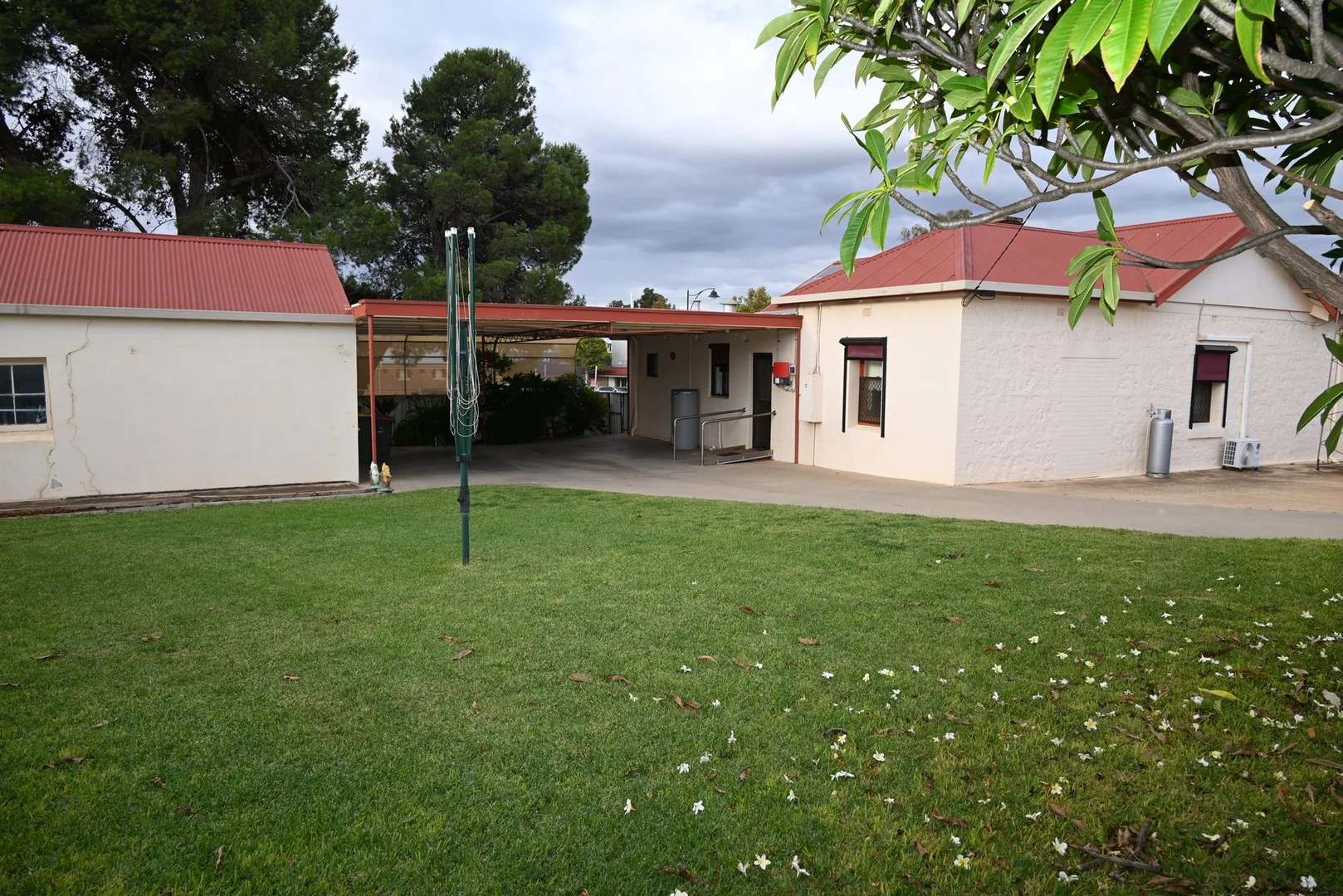Image 12
