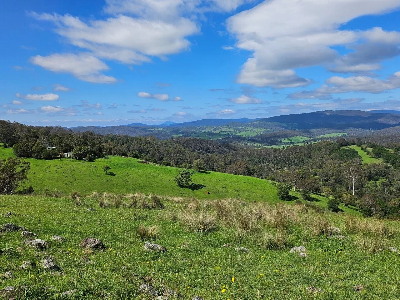 Additional image 34 of 50 Omaru Lane, Bald Hills NSW 2549