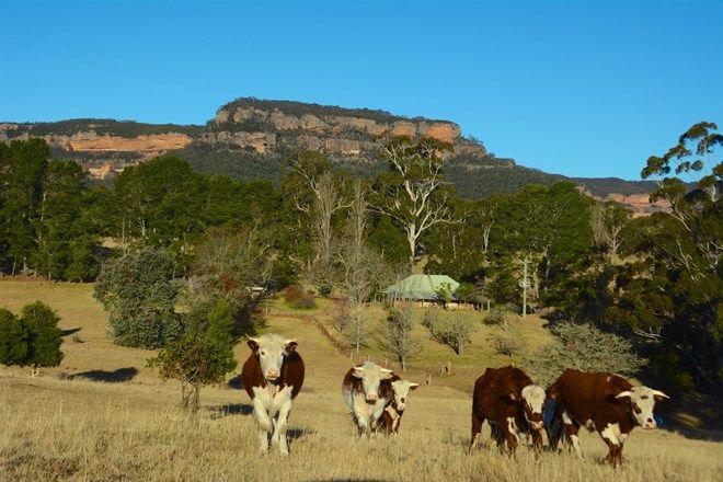 Picture of 23 Pinnacle Road, MEGALONG VALLEY NSW 2785