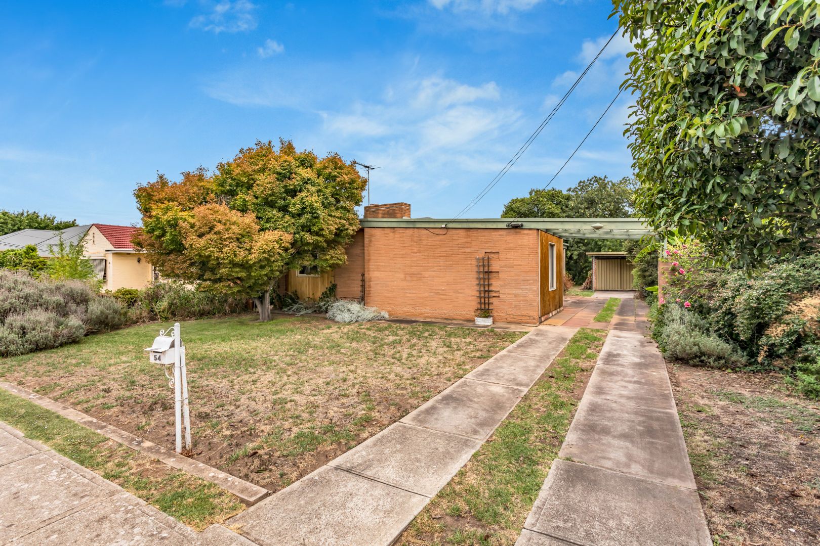 54 Daly Street, Kurralta Park SA 5037, Image 1