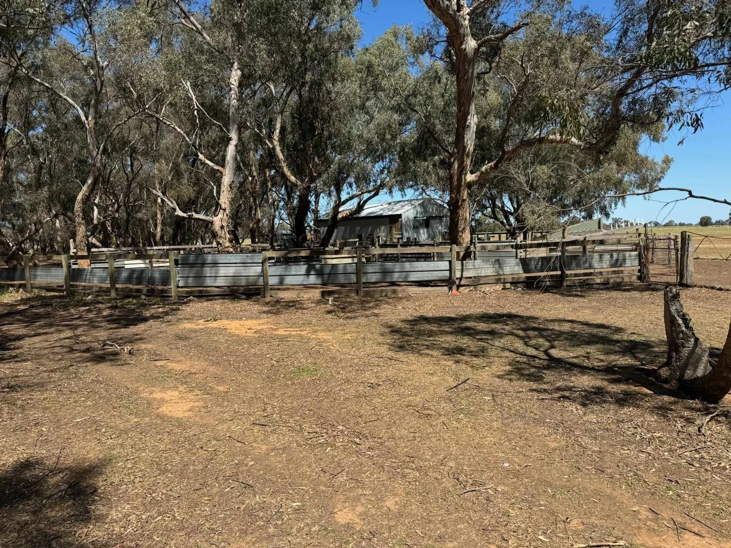 Image 12