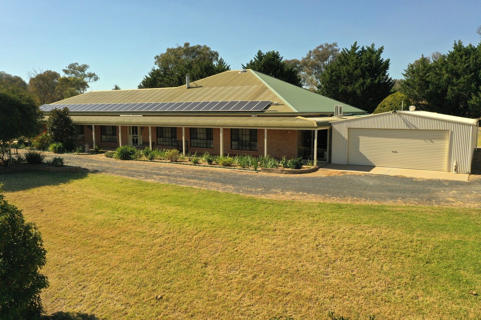 426 Back Creek Road, Young NSW 2594, Image 0