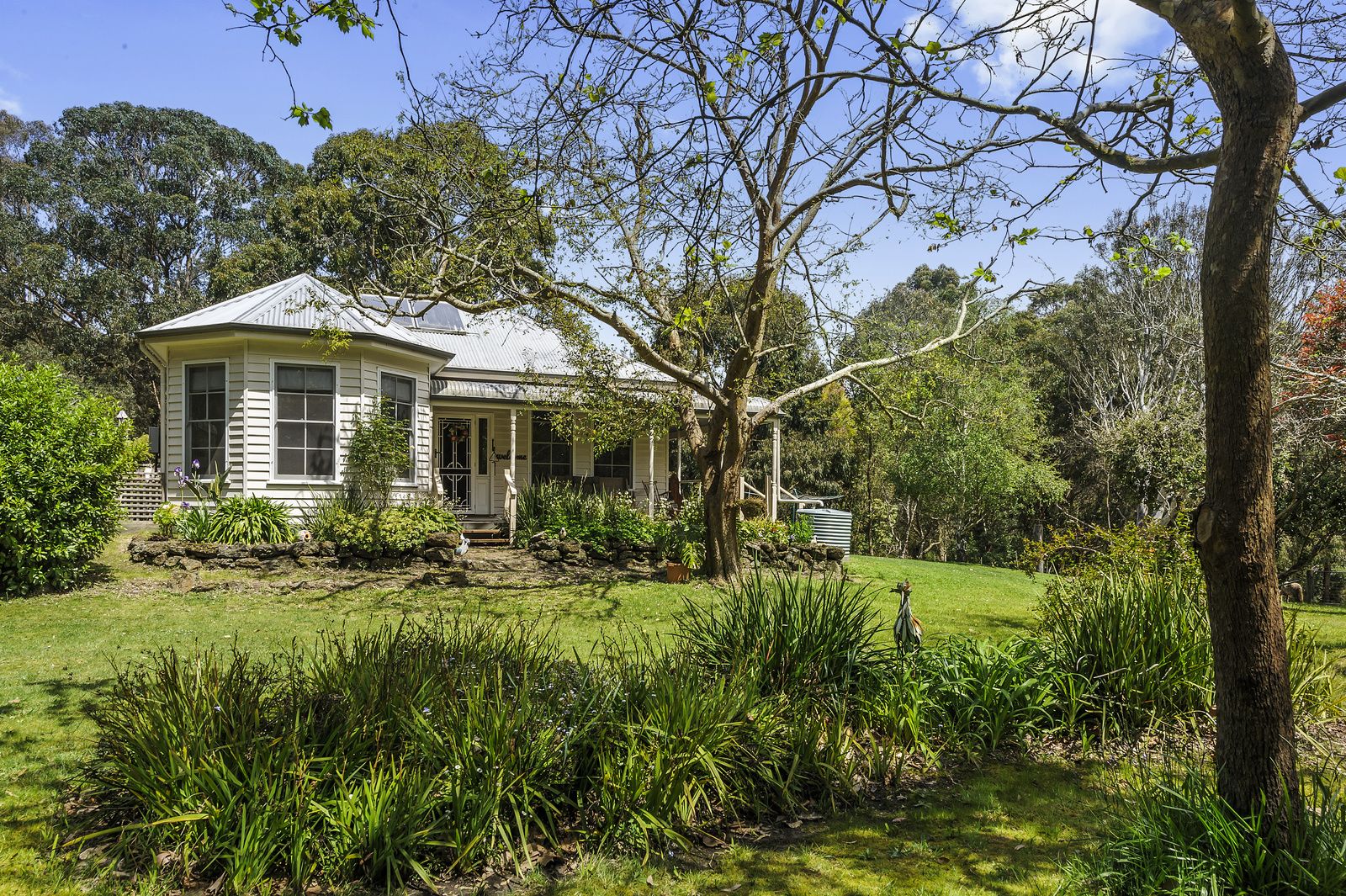 310 Shorts Road, Barongarook VIC 3249, Image 1